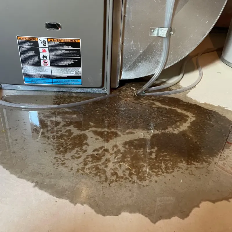 Appliance Leak Cleanup in Schleicher County, TX